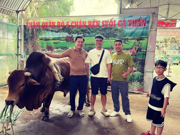 5 Con Bo Doc Nhat Vo Nhi O Thanh Hoa Duoc Tra Gan 6 Ty Dong Nhung Chu Nhan Khong Ban