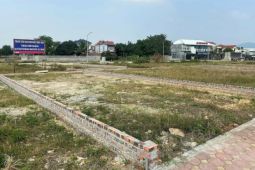 Đất huyện ven Hà Nội có thể đấu giá 75,4 triệu đồng một m2