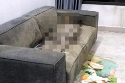 Phát hiện thi thể cô gái đã khô trên ghế sofa hơn 1 năm trời trong căn hộ...